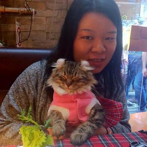 Profile picture for Libby Wong