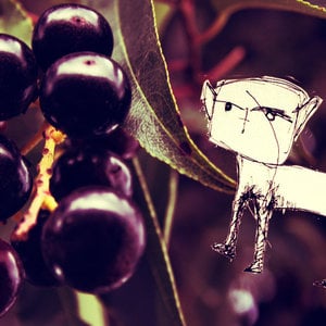 Profile picture for david jara