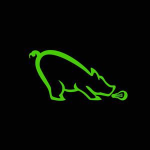 Profile picture for LightPig