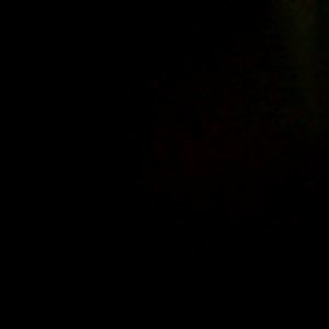 Profile picture for Brayden sinclair