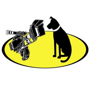 Profile picture for TaylorVision Productions