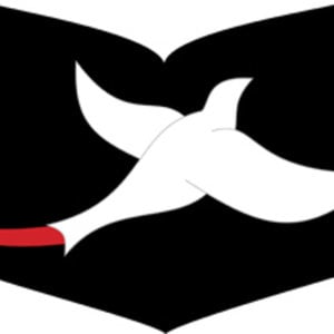 Profile picture for Ambassador Institute