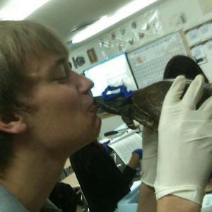 Profile picture for Chase Van Weerdhuizen