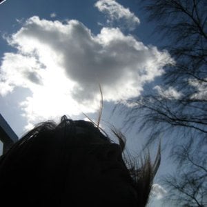 Profile picture for aboids