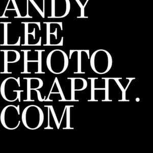Profile picture for Andy Lee