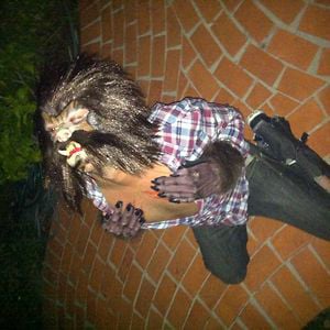 Profile picture for Kasey Toven
