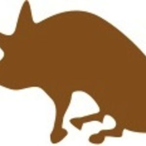 Profile picture for Trufflepig Films