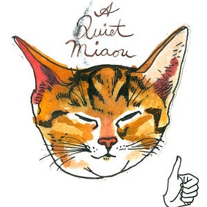 Profile picture for Little Thunder