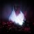 Ulver