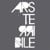 Ars Terribile Studio
