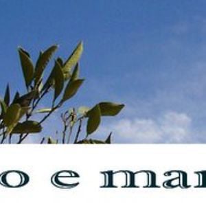Profile picture for Giuseppe Melillo