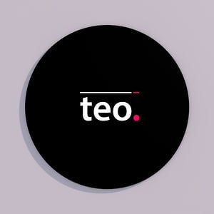 Profile picture for Teo Park