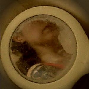 Profile picture for Mancusoalga