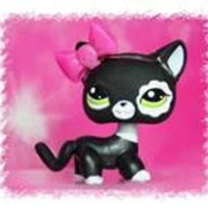 Profile picture for Melis peker