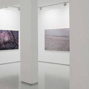Profile picture for Noga Gallery of Contemporary Art