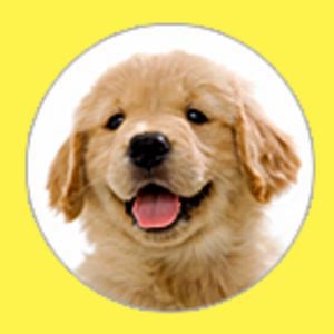 Profile picture for Puppystream