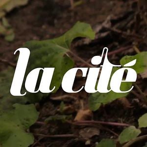 Profile picture for La Cité