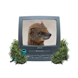Profile picture for FutureFunkRocker