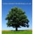 Dorset Mindfulness Centre