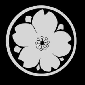 Profile picture for florian piento