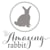 The Amazing Rabbit