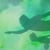 Torpedo People