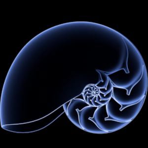 Profile picture for CoSA VFX