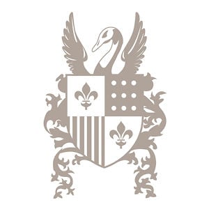 Profile picture for McKay Williamson NY