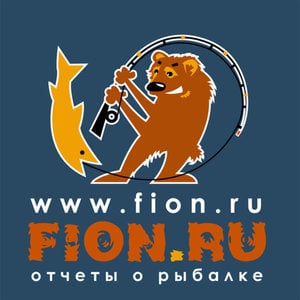 Profile picture for FION