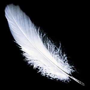 Profile picture for The Messengers Event