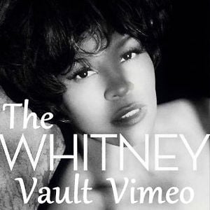 Profile picture for TheWhitneyVault-Vimeo