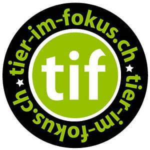 Profile picture for tier-im-fokus.ch
