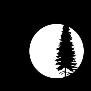 Profile picture for Moonshine Park