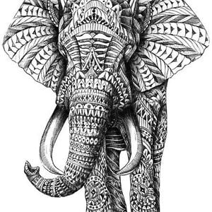 Profile picture for Daniel Rowbotham