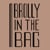 brollyinthebag