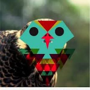 Profile picture for andria solalindez