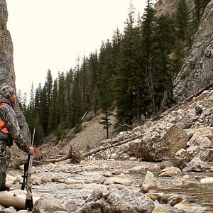 Profile picture for Greenback Tactical Hunters