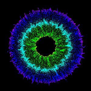 Profile picture for Pulse Project