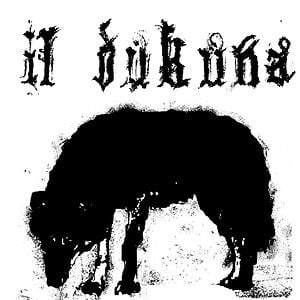 Profile picture for IL DUKUNA