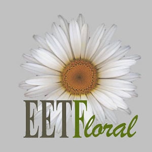 Profile picture for Susana Veilati