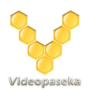 Profile picture for Videopaseka