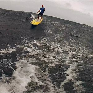 Profile picture for Paddle With Riggs