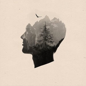 Profile picture for Andrew Q Holzschuh