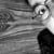 omer ozd