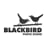 Blackbird Photo Studio