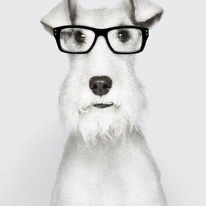Profile picture for Timofey Penkov