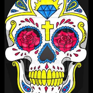 Profile picture for Ricardo Monti