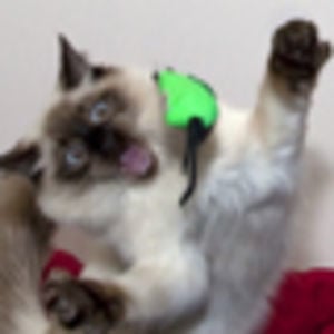 Profile picture for Ragtime Productions
