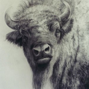 Profile picture for Tony Hymes