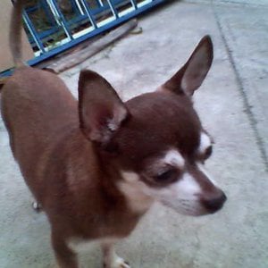 Profile picture for joe barragan